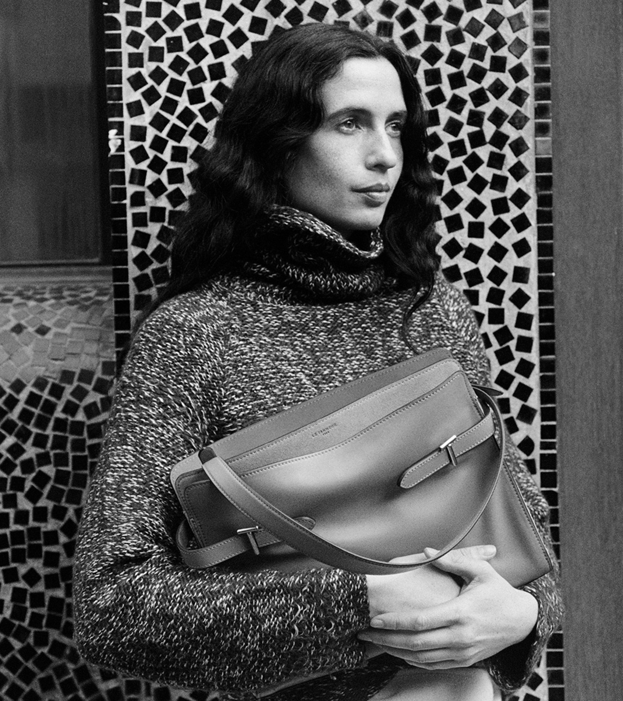 Emie large shoulderbag in smooth leather and nubuck